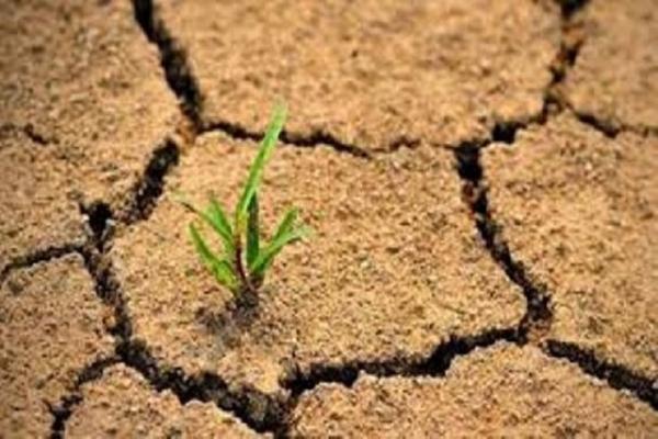 سالانه 17.5 تن خاک در هکتار در خراسان شمالی از دست می رود